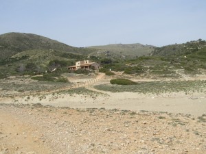 IMG_5444 (Medium)